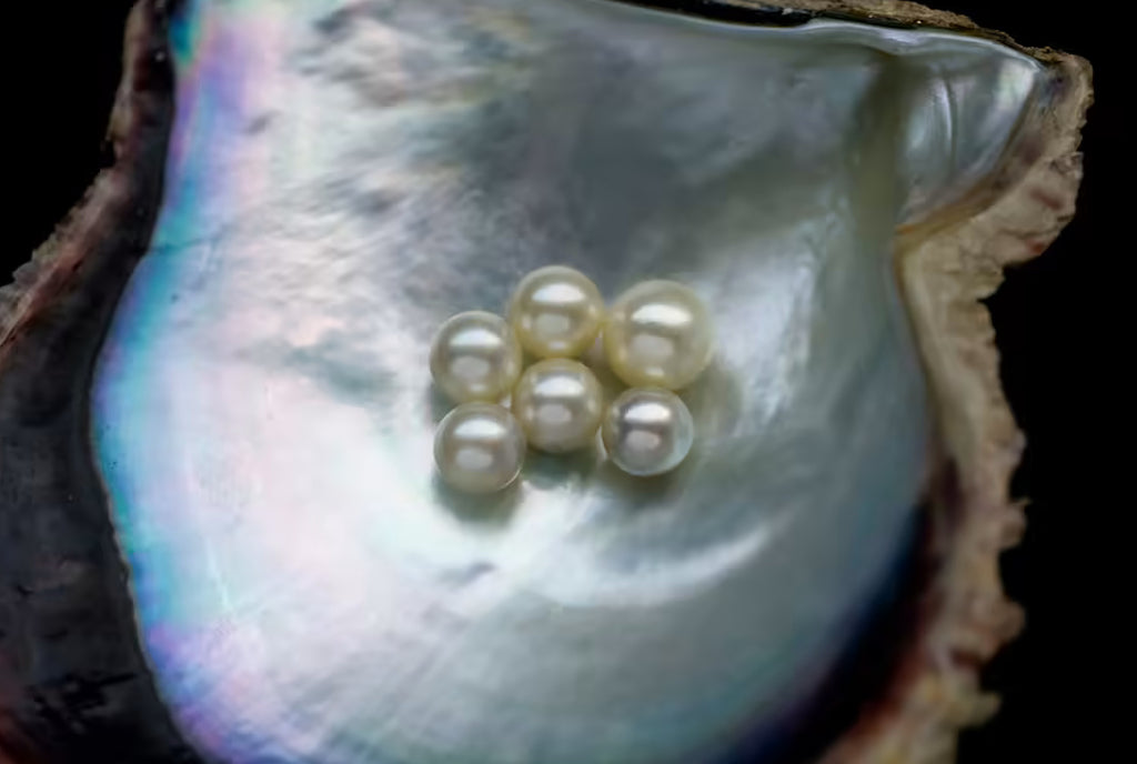 A Brief History Of The Pearl, June Birthstone